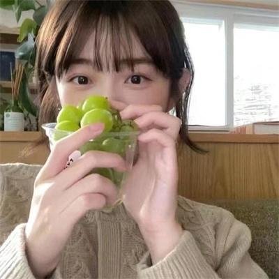 今晚不要让我们去打狗